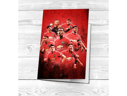 Обложка на паспорт Манчестер Юнайтед, Manchester United FC №3