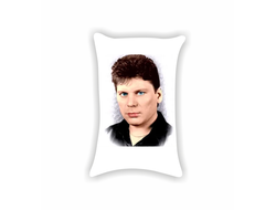 Подушка Сектор Газа, Юрий Хой №8