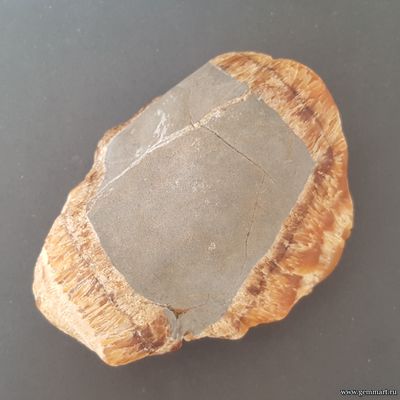 Симбирцит (Кальцит) — галтовка рекой