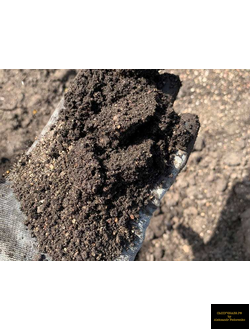 торфогрунт