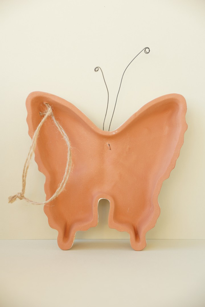 Бабочка большая