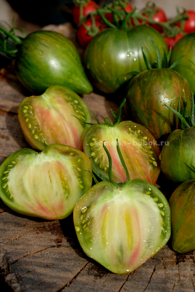 Томат VT-16 триколор, 10 шт