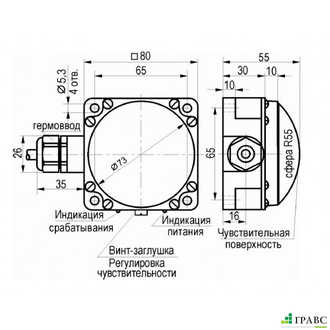 Датчик заштыбовки ДЗ-3010(-Т)