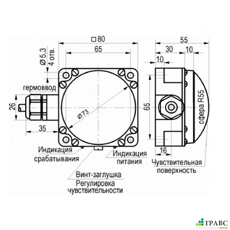 Датчик заштыбовки ДЗ-3010