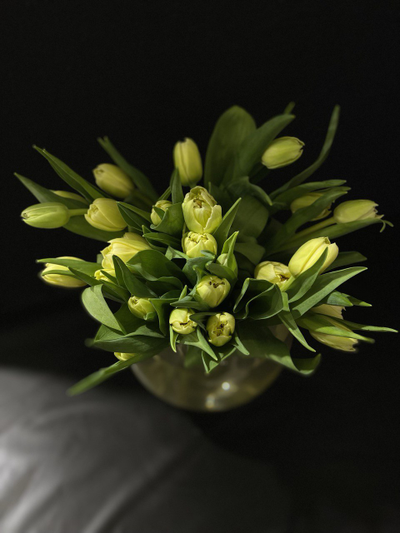 Тюльпаны пионовидные 25 шт