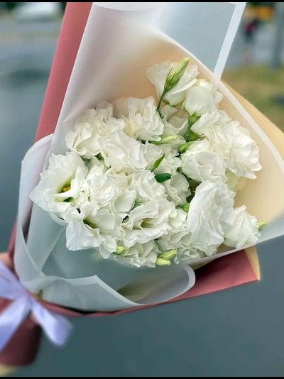 Букет махровых эустом (цвет на выбор)