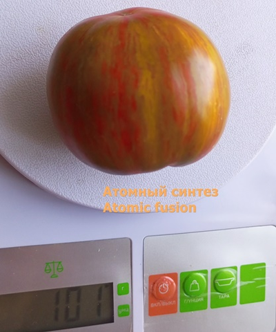 Томат Атомный синтез (Atomic fusion), США