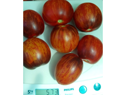 Томат Гаргамель (Gargamel)