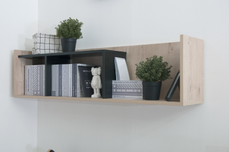 ЛИБЕРТИ Полка НП1