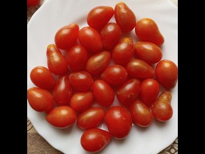 Томат черри Монпасье