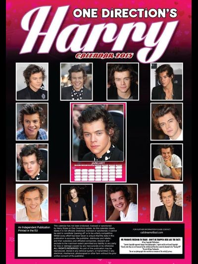 Harry Styles One Direction Календарь 2015
