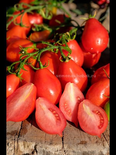 Томат Матрешка, 10 шт