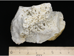 Халцедон виноградный, Россия, Северный Кавказ, КЧР, Усть-Джегутинский район (65*45*45 мм, 166 г) №27187