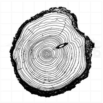 Штамп древесный спил с корой, черно-белая графика