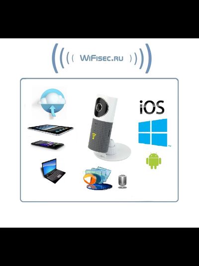 Видеоняня /WiFi видеокамера CleverDog с DVR