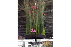 XXII Международна выставка цветов, растений, оборудования и материалов для декоративного садоводства и цветочного бизнеса «ЦВЕТЫ/FLOWERS-2015»