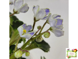 Vi-Лесная Нимфа (И.Виблая) 2021 г. (гёрл-листья)