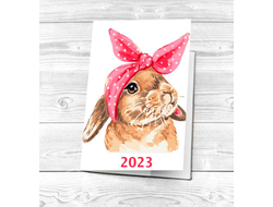 Обложки на паспорт год Кролика