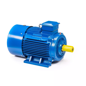 Электродвигатель 5АИ 200L6 (30 кВт) IM 1001