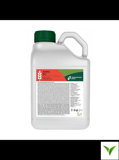 Дива КС 5 л
