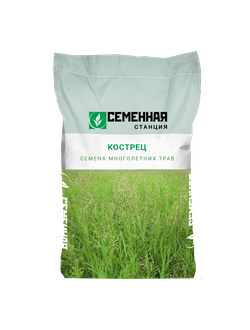 Семена костра (сорт Ульяновский),  10кг