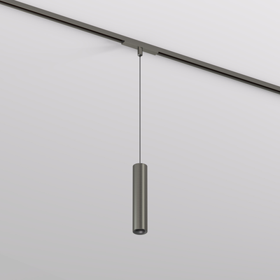 Светильник для трека SHINE SPOT DK5744-DN