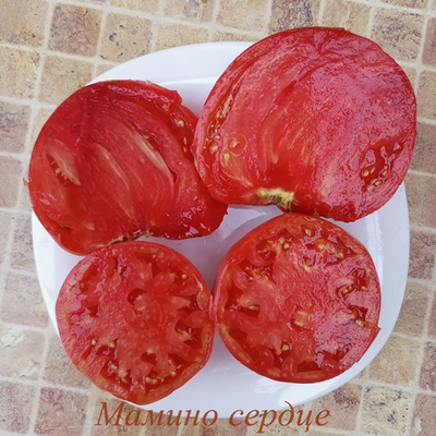 Томат Мамино сердце (Mom’s Heart) Румыния