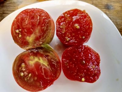 Томат Фиолетовый Оуэна (Owen's Purple), США