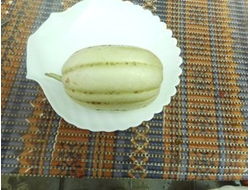 Дыня Мечта сибарита (Мечта лентяя)