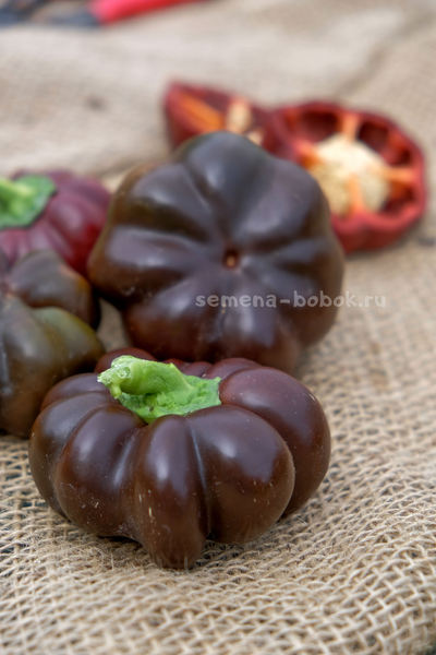 Перец сладкий Паприка Чоколейт, 10 шт