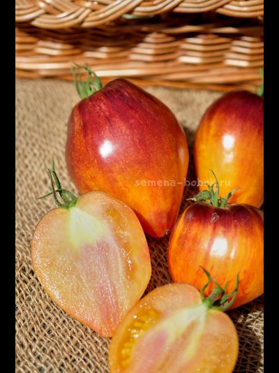 Томат Очень Сладкий Блюз, 10 шт