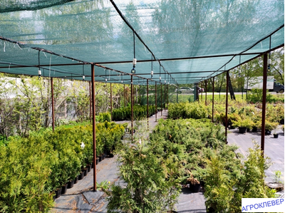 Дождеватель туманообразующий красный, 72,2-109,7л/ч, радиус 1,1-1,2м