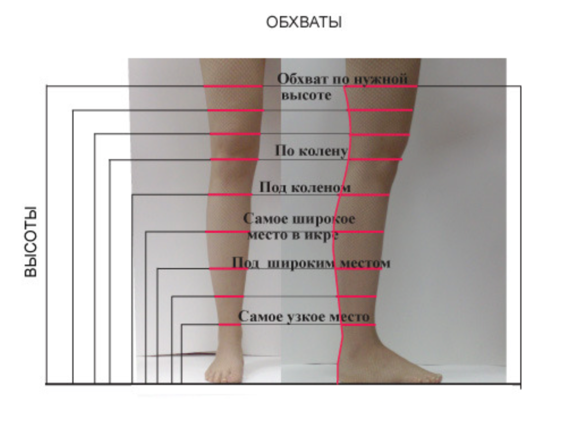 Какие должны быть ноги. Обхват голенища. Объем голени. Высота голени. Высота голени мерка.