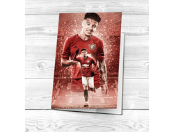 Обложка на паспорт Манчестер Юнайтед, Manchester United FC №8