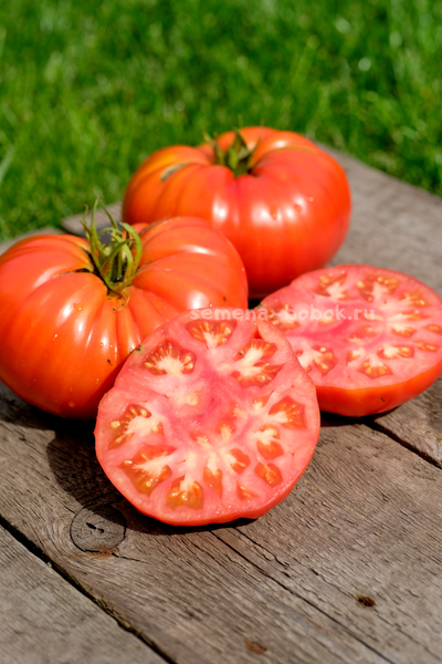 Томат Ивунтянский Великан, 10 шт