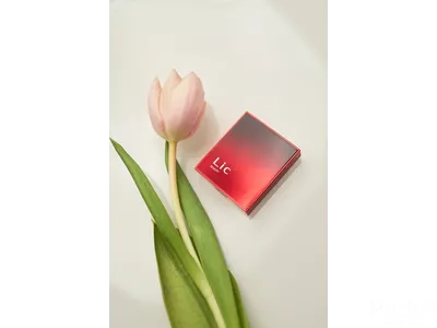 Lic Скульптор для лица Sculpt Тон 02 Choco haze 11 гр