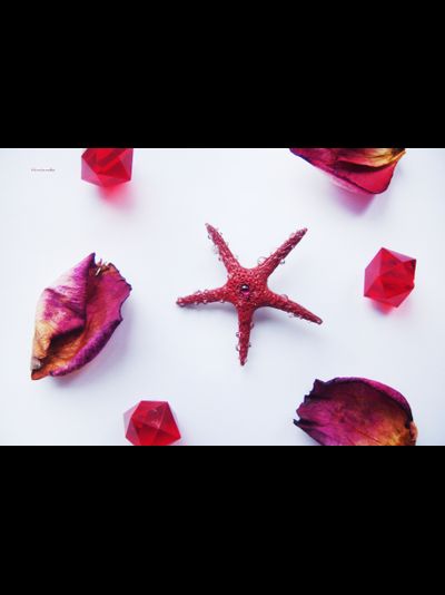 Морская брошь "Звезда ундины"