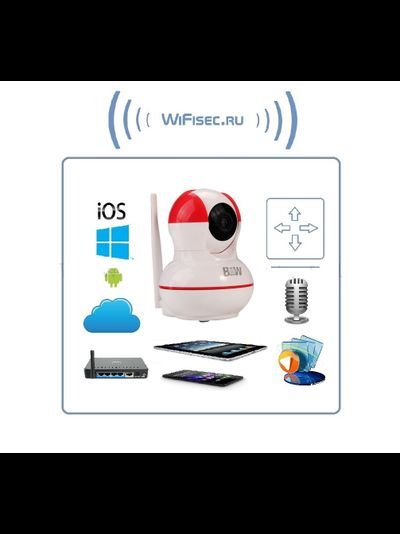 BW. Видеоняня /WiFi-LAN видеокамера моторизированная с DVR , HD (163Eye/Yoosee)