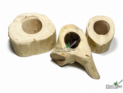 SwetAqua Driftwood Stump M (Hole) - пенек из натурального дерева со сквозным отверстием, 50 мм