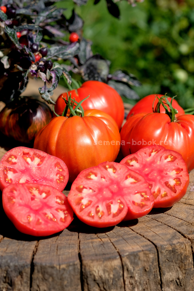 Томат Reduci (Ветеран), 10 шт