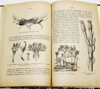 Палладин В.И. Морфология и систематика растений. СПб.: Тип. А.С.Суворина, 1905.