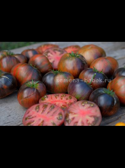 Томат Dwarf Rebel Starfighter Dipper&#039;s Delight (Гном Восставший Звездный Истребитель Восторг Диппера), 10 шт