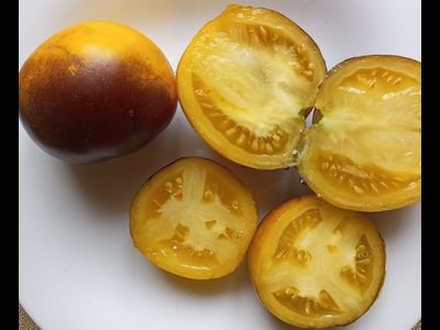 Томат Шоколадный мармелад