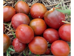 Томат Маленькое черное сердце