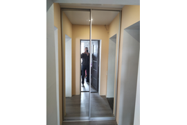 зеркальные двери купе