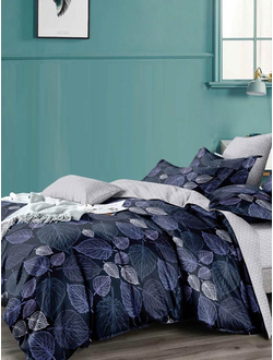 Постельное белье 2 спальное TANGO Dream Fly микросатин 180x210x1 220x245x1 50x70x2 DF02-411-50