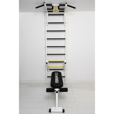 Шведская стенка Ferrum Force FR4 купить в Воронеже