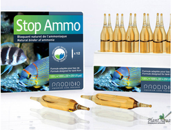 Prodibio Stop Ammo для нейтрализации аммиака (1 ампула)