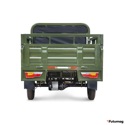 Грузовой электротрицикл Rutrike D4 NEXT PRO 1800 72V1500W зеленый