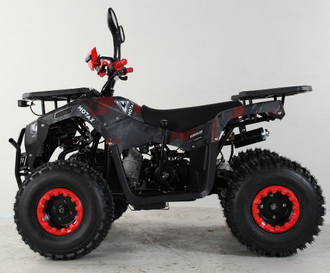 Квадроцикл бензиновый MOTAX GRIZLIK PREMIUM 125